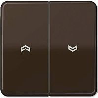 Лицевая панель Jung CD500 для 2-кл. выключателя коричневый картинка